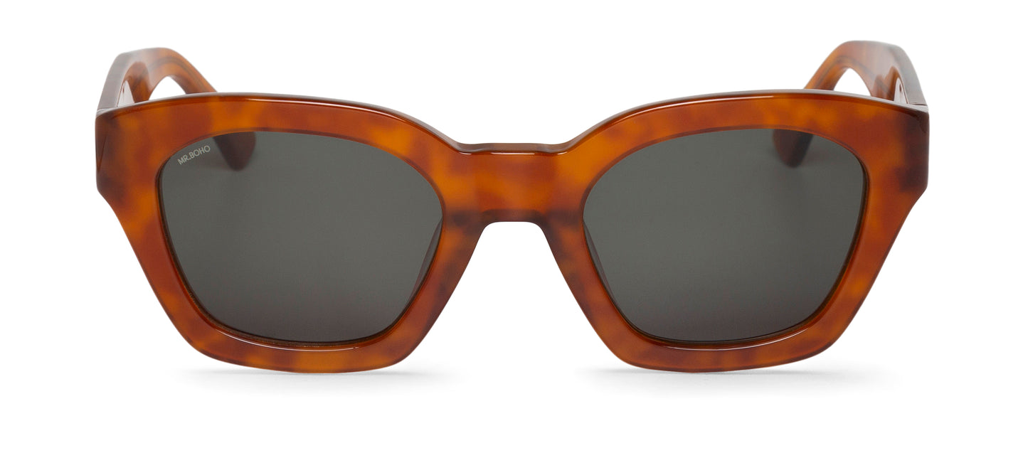 CEDAR - BARROSA - WITH CLASSICAL LENSES