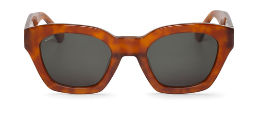 CEDAR - BARROSA - WITH CLASSICAL LENSES