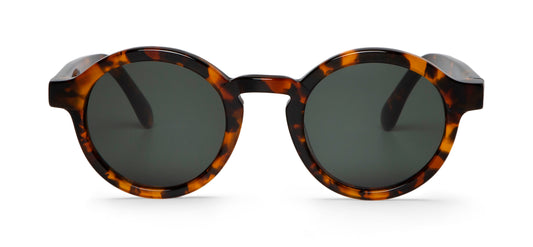 Cheetah Tortoise Dalston With Classical Lenses